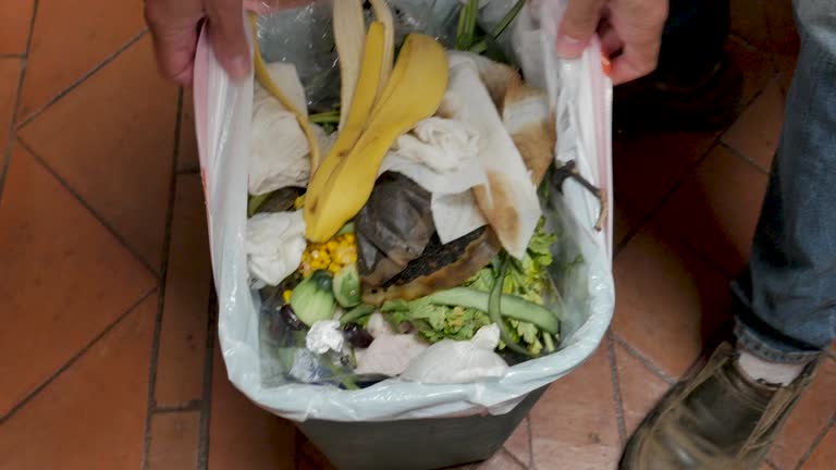 Best Yard Waste Removal  in Dortches, NC